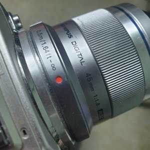 Olympus Pen E-PL 7 with Prime M. Zuiko 45mm F1.8 Lens (3).jpg