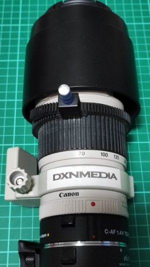 Canon70200.jpg