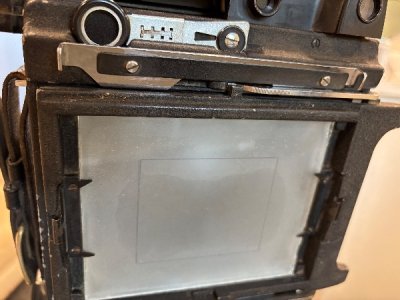 IMG_6598.jpeg
