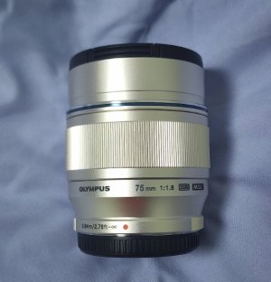 75mm-1.jpg