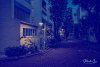 In The Pale Light of The Evening_wm.jpg