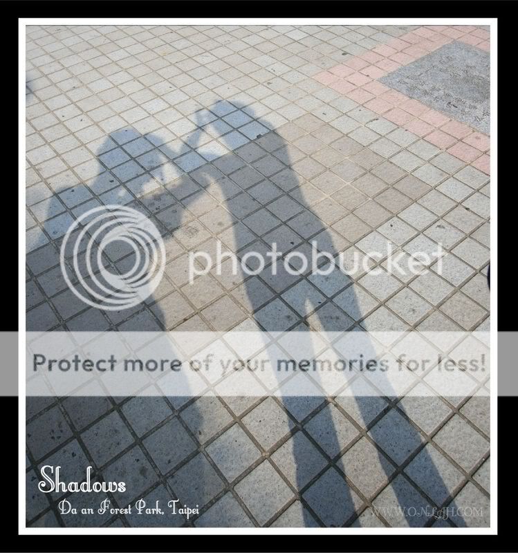 shadows2.jpg