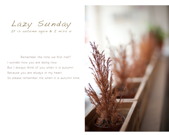 Lazy-Sunday---Autumn-Time.jpg