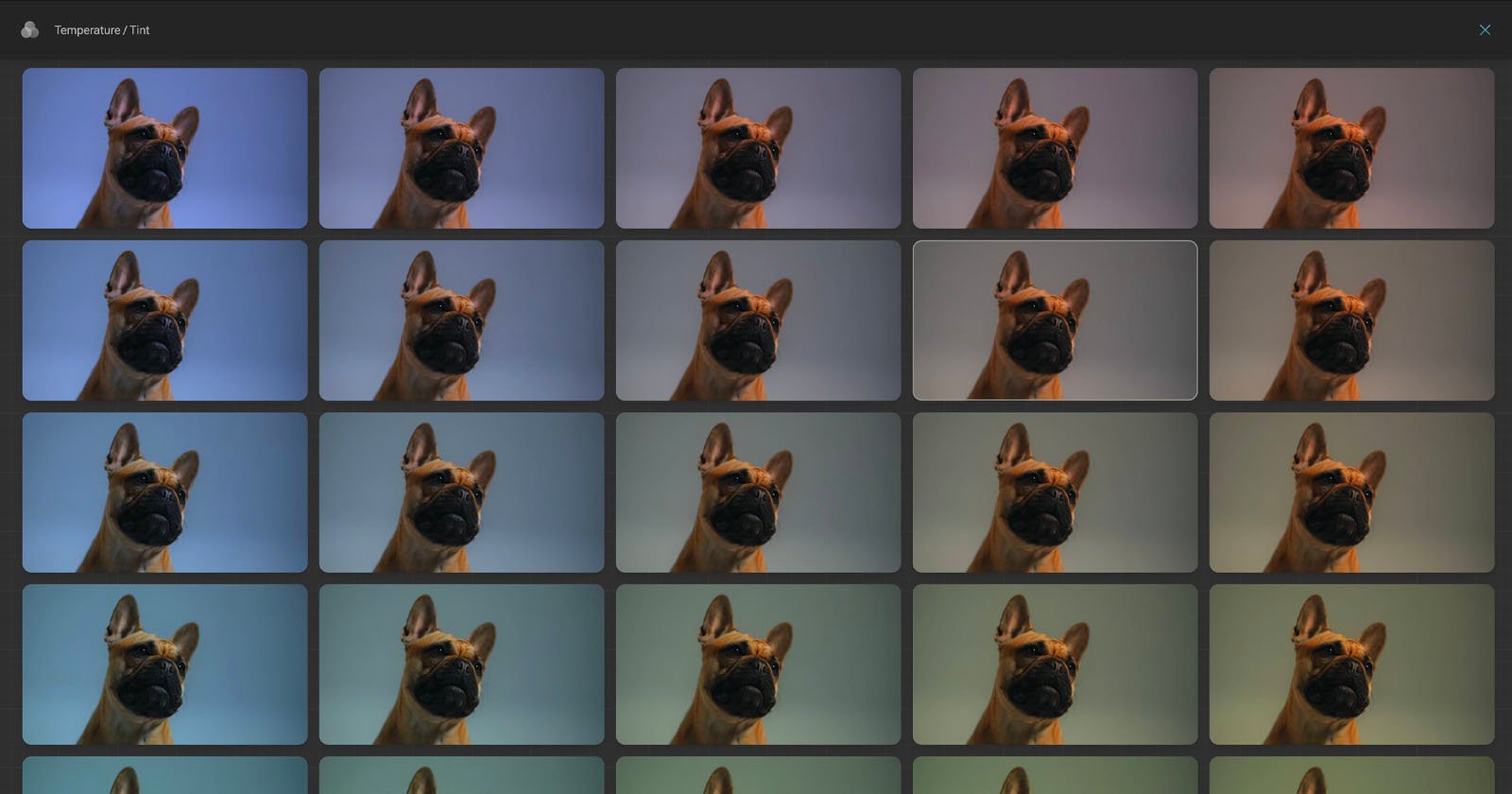 Grid of multiple images of a French Bulldog with varying temperature filters applied, transitioning from warm to cool tones across the images.