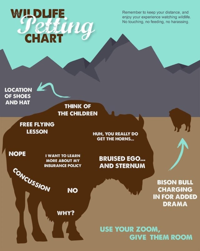 wildlife-petting-chart-by-nps-640x800.jpg