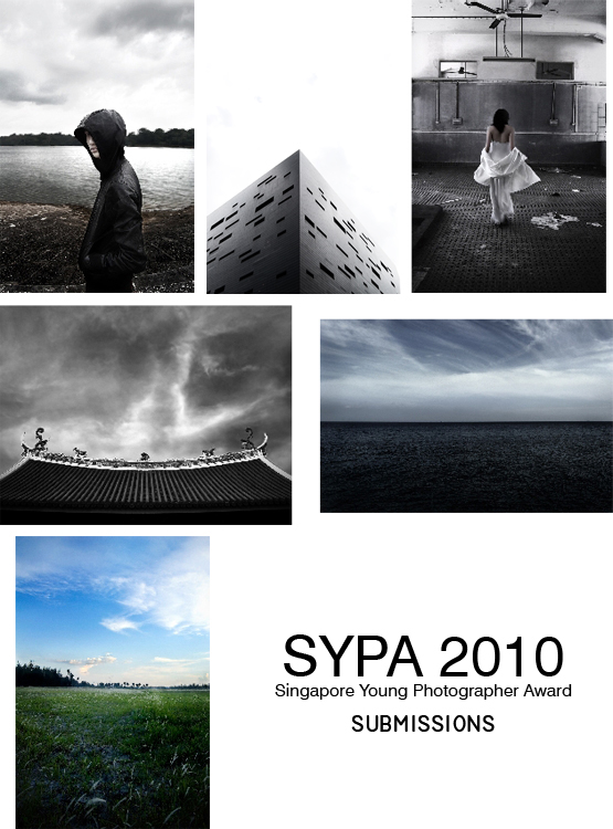 SYPA_2010_by_redstonean.jpg