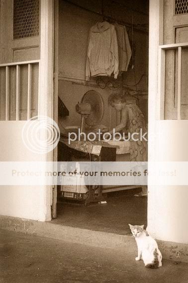 LaundryShop_Vintage02.jpg