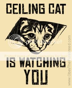 ceiling_cat_watching.jpg