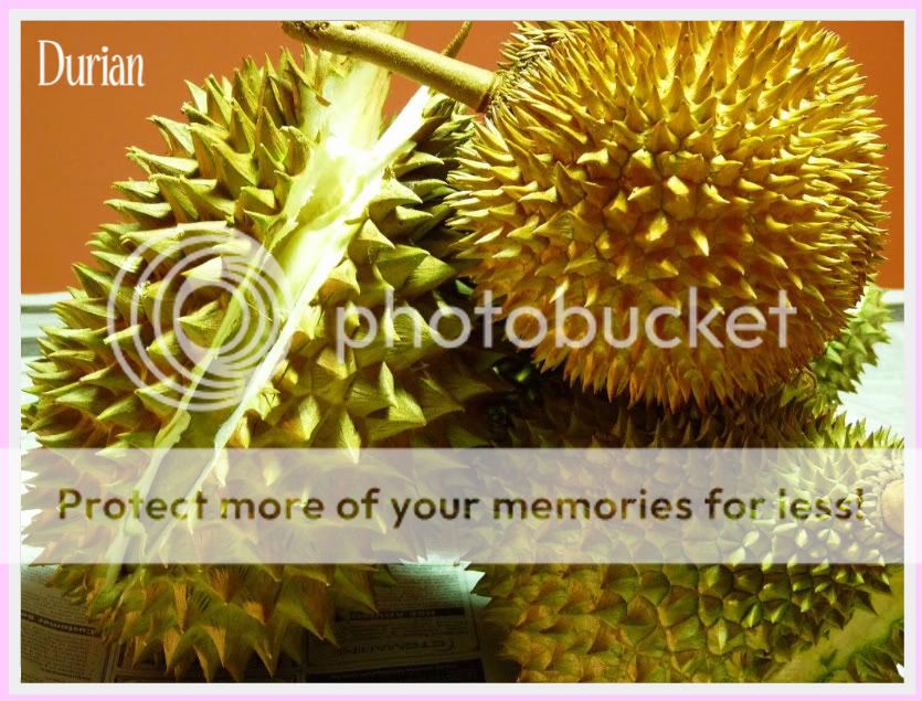 durian1-1.jpg