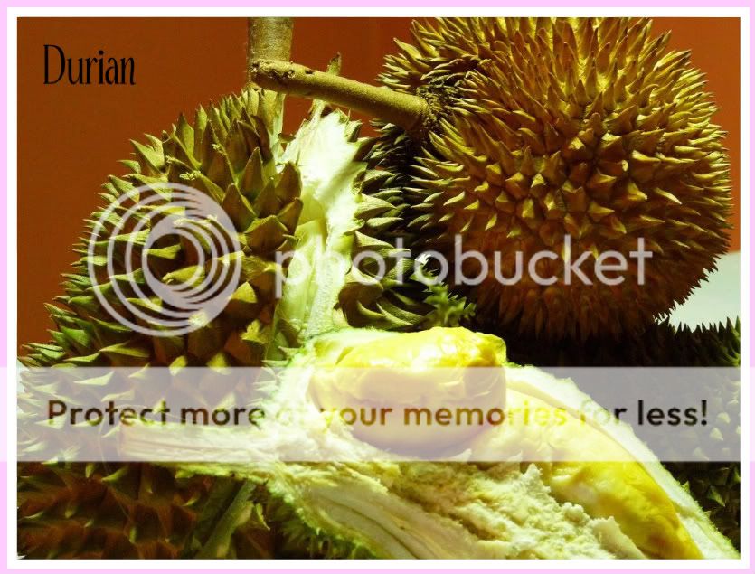 durian2-1.jpg