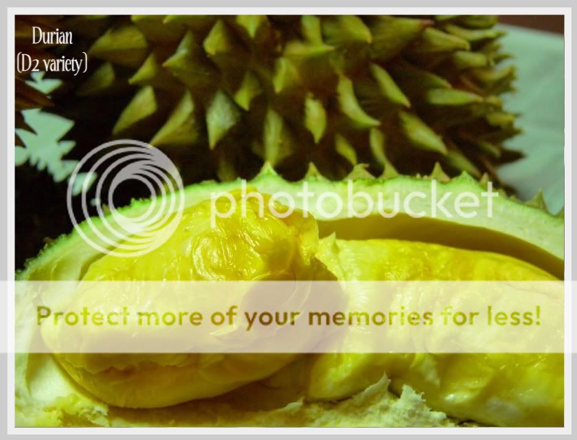 durian3-1.jpg
