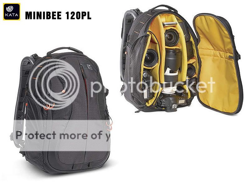 Minibee120PL1.jpg