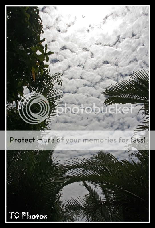 cloudsSmall.jpg