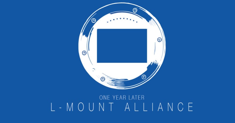 LMount-Alliance-One-Year-later-800x420.jpg