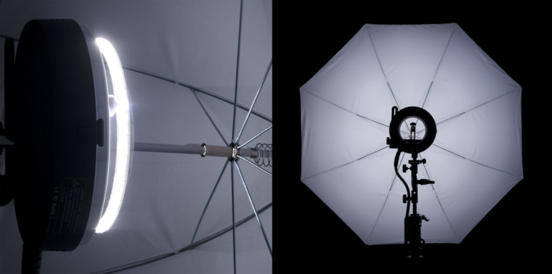 umbrella-800x398.jpg