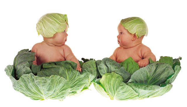 Anne-Cabbage-Babies.jpg