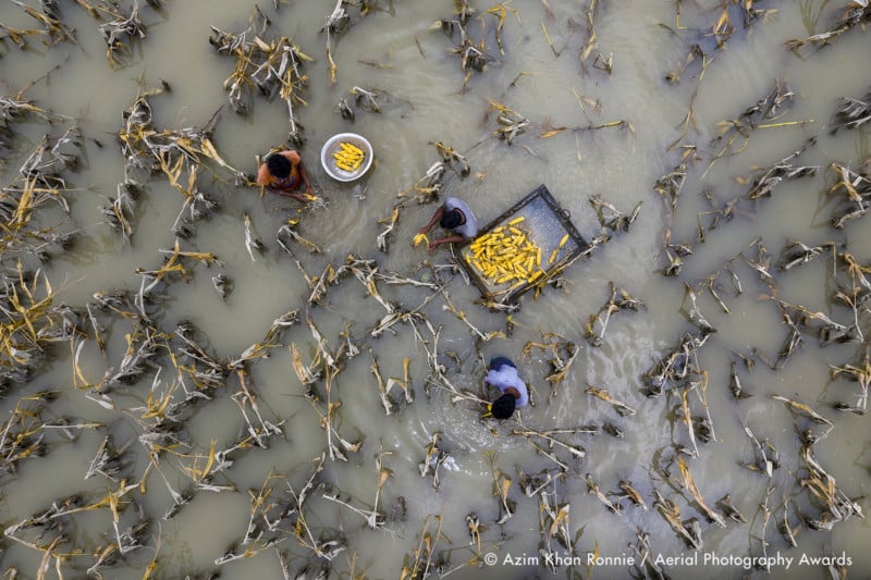 Flood-water-has-damaged-crops_Azim-Khan-Ronnie_Aerial-Photography-Awards-2020-800x533.jpg
