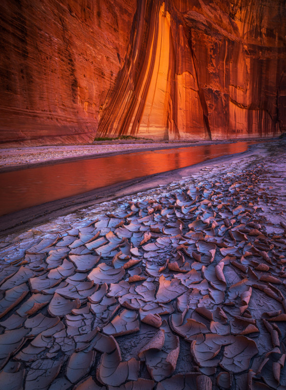 19955_Peter-Coskun_Canyon-Visions-587x800.jpg