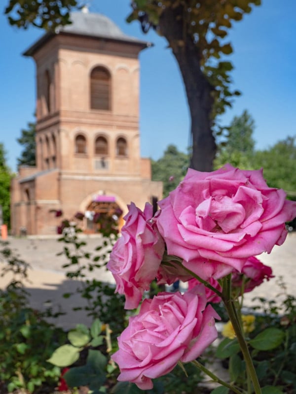 Juxtaposition-in-Composition-Flowers-and-Church-600x800.jpg