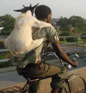 man-and-his-goat.jpg