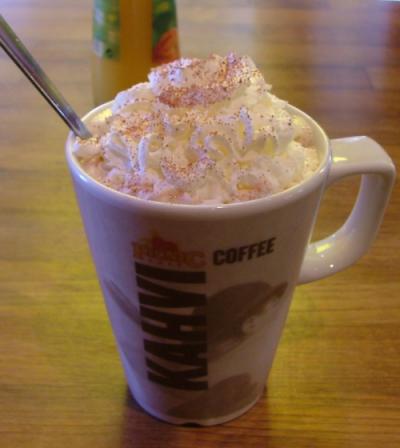 Hot_chocolate_mug_with_whipped_cream.jpg