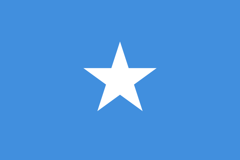 800px-Flag_of_Somalia.svg.png