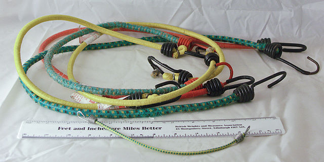 640px-Bungee_Cord_PICT6882a.jpg