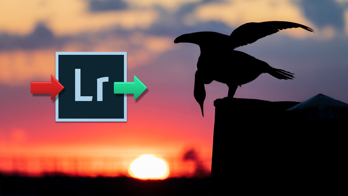Lightroom Import and Export Tips and Tricks