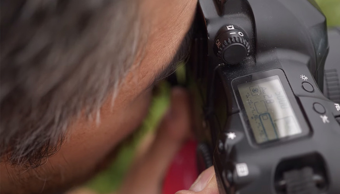 Would You Use Eye-Controlled Autofocus?