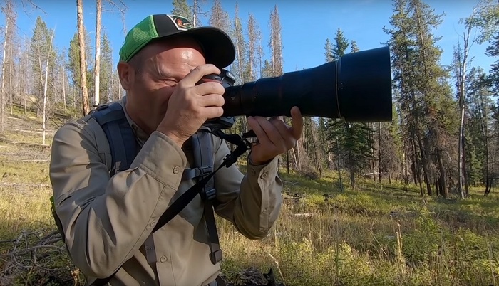 Have You Ever Wondered What Photographing Gray Owls in the Wild is Like?