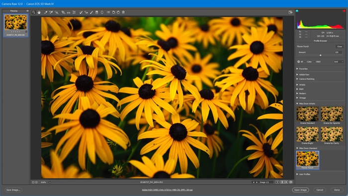 5 Secrets to Converting Presets to Profiles in Lightroom and ACR