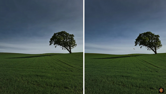 Lightroom Versus Luminar 4: Which Is Right for Your Needs?