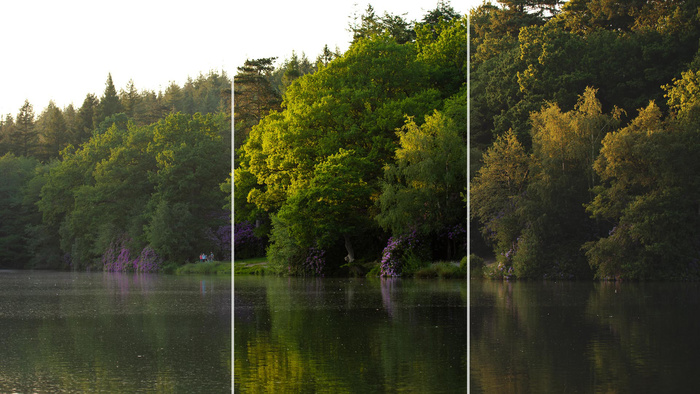 Do Lightroom Profiles Really Make a Difference in Landscape Photography?