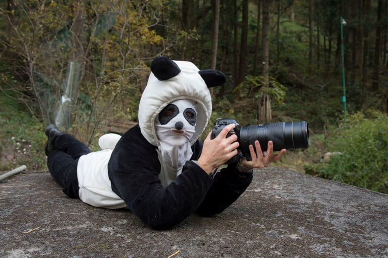 Panda-Suit-800x532.jpg