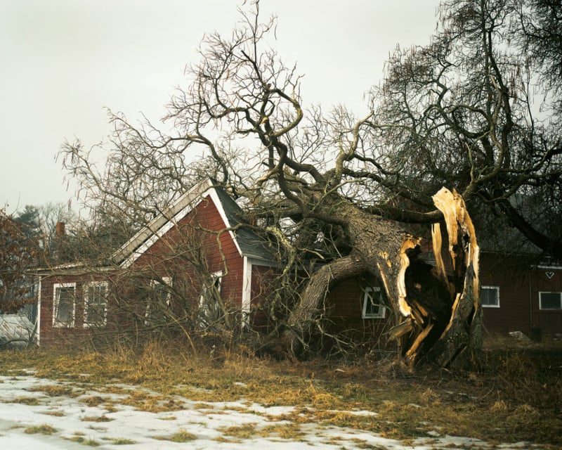 6-800x640.jpg