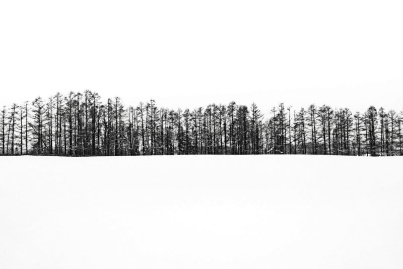 Hokkaido-winter-trees-800x534.jpg
