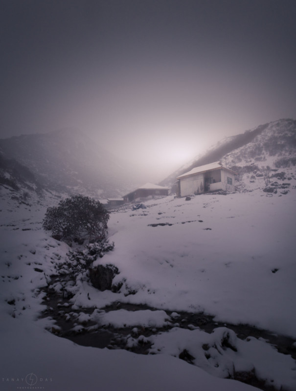 THE-LAND-OF-DZONGRI-605x800.jpg