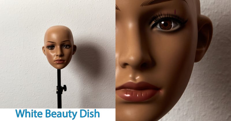 Whtie-Beauty-Dish-800x420.jpg