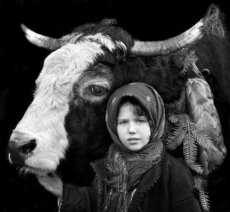 Shepherds-from-Transylvania-14-800x735.jpg