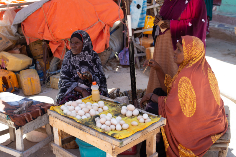 somalian-photojournalist-fardowsa-hussein-petapixel-10-800x534.jpg