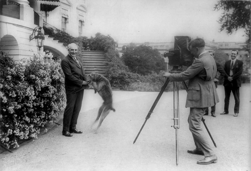 6-2-President-Harding-with-Dog-800x545.jpg