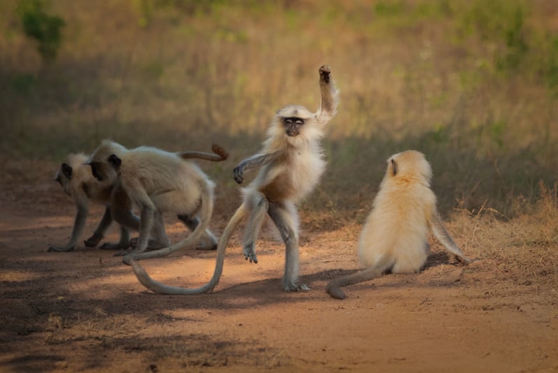 Sarosh-Lodhi_Dancing-Away-to-Glory_00005652-800x534.jpg