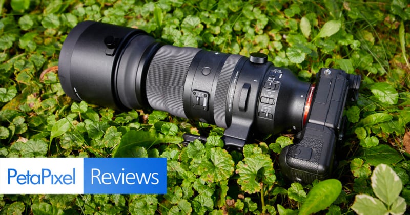 Sigma-150-600mm-f5-6.3-DG-DN-Sports-Lens-Review-Worthy-of-Attention-800x420.jpg