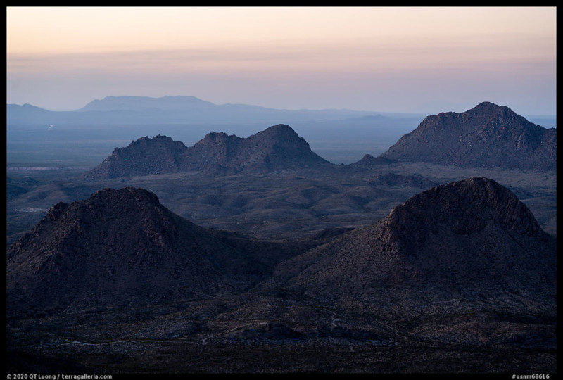 usnm68616.large_-800x540.jpg