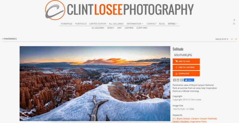 Clint_Losee_Limited_Edition_Panoramic-copy-800x414.jpg
