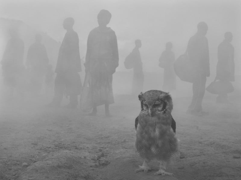 Harriet-and-people-in-fog_Zimbabwe-2020-800x600.jpg