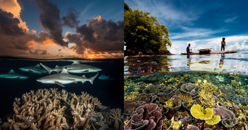 Photographer-Captures-Beautiful-Split-Photos-Above-and-Below-the-Sea-800x420.jpg