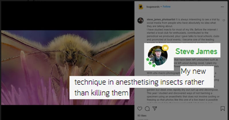 anesthetizinginsectsfeat-800x420.jpg