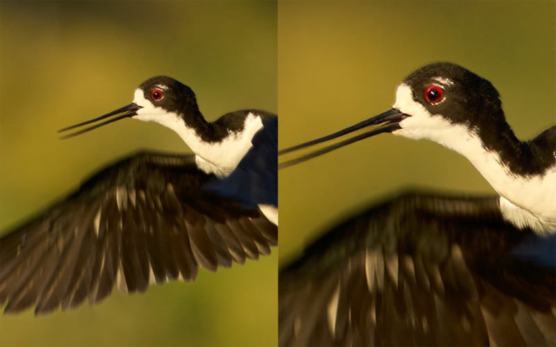 Before and after running the photo through Gigapixel AI. 100% crops.
