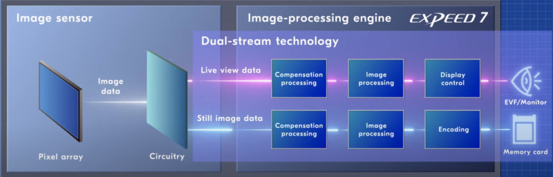 nikon-dual-stream-viewfinder-technology-800x256.jpg